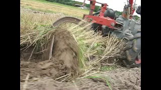 мотор січ оранка по стерні