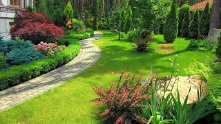 Интересные идеи для красивого сада / Interesting ideas for a beautiful garden