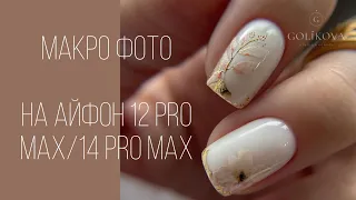 Крутые макро фото ногтей Сравнение айфонов 12 pro max 14 pro max