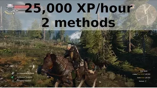 Witcher 3 - 25,000 XP per hour - 2 methods