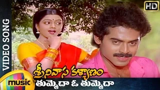 Srinivasa Kalyanam Telugu Movie | Tummeda Tummeda Full Video Song | Venkatesh | Bhanupriya | Gautami