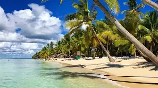 Dominican Republic - Saona Island Catamaran Cruise | Natural Pool Lagoon 4K