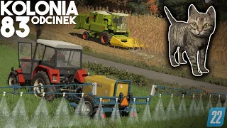 Kupiłem KOTA na pocieszenie Krzycha... [83] Podwórko Kolonisty 👩‍🌾▶ Map: KOLONIA