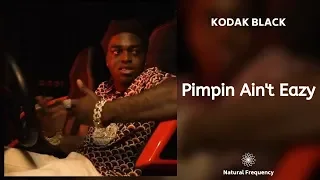 Kodak Black - Pimpin Ain't Eazy (432Hz)