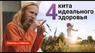 4 кита здоровья для тела, психики и души | Коротко о главном