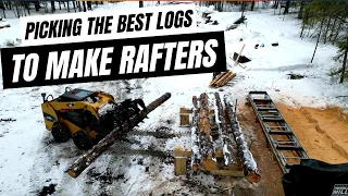 Choosing The Best LOGS For RAFTERS // Homemade LUMBER From Sawmill // Woodland Mills HM130 Max