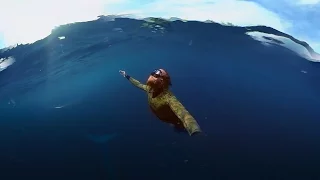 GoPro VR: Diving With a Blue Whale