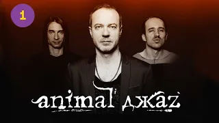 «Animal ДжаZ» в Израиле. Кто разрешил ???