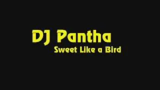 DJ Pantha - Sweet Like a Bird