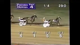 1999 Pocono Downs SUGARY Roger Hammer PAFS 2YO Filly Trot Final