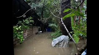 Sherman Oaks homeowner blames city for flooded backyard amid Southern California storm