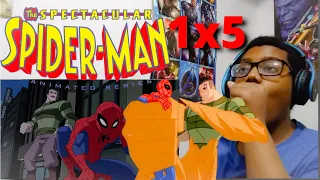 spectacular Spider-Man season 1 episode 5 (Reaction)