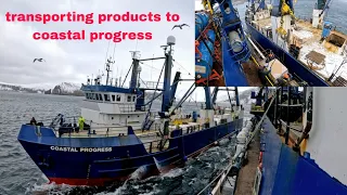 Daily work || Transporting products to coastal progress