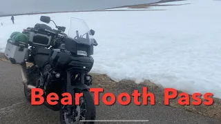 Harley Davidson Pan America Ride Over The Bear Tooth Pass.