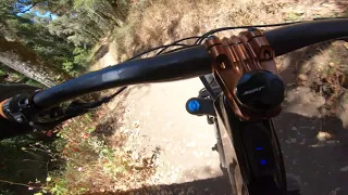 New Levo SL first crash shredding Pipeline and Fort Ord trails.