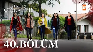 Kırgın Çiçekler 40. Bölüm - atv