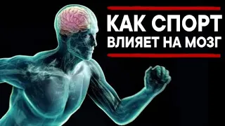 Как спорт влияет на мозг? Ася Казанцева на QWERTY