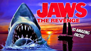 10 Things You Didn't Know About Jaws TheRevenge