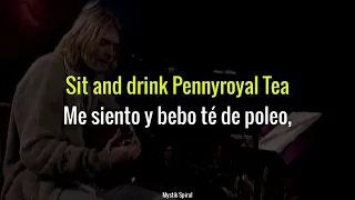 Nirvana - Pennyroyal Tea (Unplugged) - Subtitulada en Español