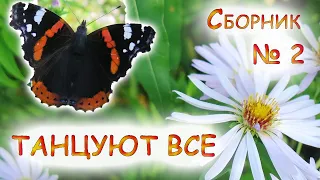 Танцевальные песни, Сборник № 2, Танцуют все,