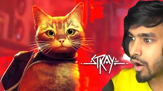 MY CUTE CAT LOST IN CYBERPUNK CITY | STRAY GAMEPLAY #3