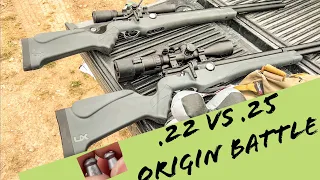 NEW .25 Umarex Origin; Is It A Winner? | .22 VS .25 Umarex Origin HEAD TO HEAD