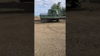 Barley harvest 2021