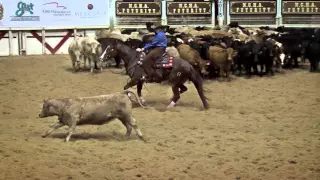 2015 NCHA Futurity Daily Roundup   Dec  13