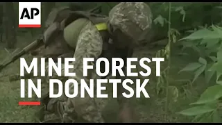 Ukrainian forces mine forest in Donetsk