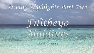 Diving Highlights Part Two, Filitheyo Island, Maldives