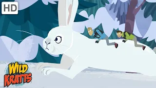 Snowshoe Hares and Other Cold Climate Creatures [Full Episodes] Wild Kratts