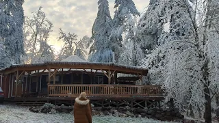 The Oregon Icepocalypse on our Farm