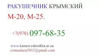 Ракушечник +7(978)-097-68-35