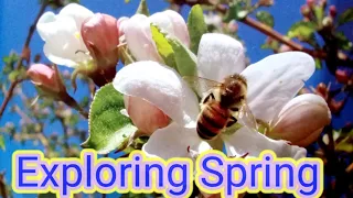 Exploring Spring Readaloud|What Happens in Spring|Learn about Spring|Signs Of Spring