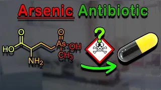 Making the First New Antibiotic in Decades - Arsinothricin