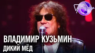 Владимир Кузьмин - Дикий мёд | Песня года 2018