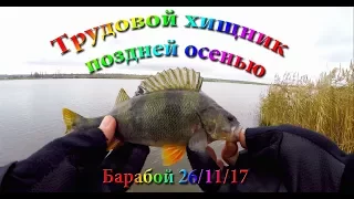 Капризный хищник поздней осенью! Барабой 26/11/17