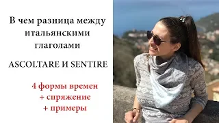 ИТАЛЬЯНСКИЕ ГЛАГОЛЫ ASCOLTARE И SENTIRE| Ур.51 Итальянский язык для начинающих