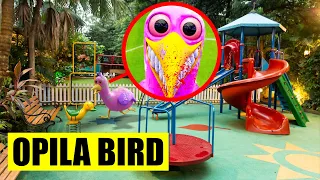 MON DRONE FILME OPILA BIRD DANS UN PARC HANTÉ ! 😨 Toboggan Parc de jeux !