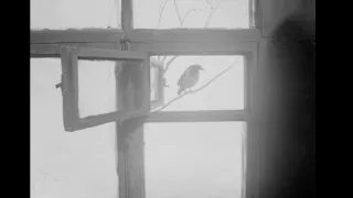 Khrustalyov, My Car! (1998) by Aleksey German, Clip: Yuri takes a bath and a crow crows!