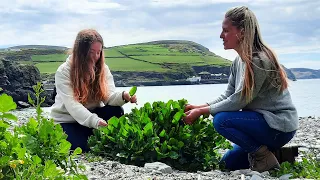 Edible Weeds and Wild Food Foraging for Beginners