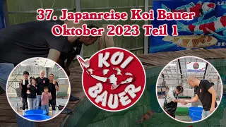 Japanreise Oktober 2023 Teil 1 von Koi Bauer