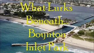 What Lurks Beneath...Ocean Inlet Park, Boynton Beach , FL.