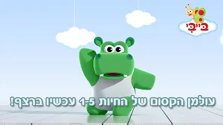 עולמן הסודי של החיות - 5 פרקים עכשיו ברצף!