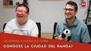 DE ESPAÑA A CHENG DU / CHINA, ¿CONOCES LA CIUDAD DEl PANDA?