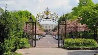 Цветы Ридженс-парка. Лондон. Regent's Park