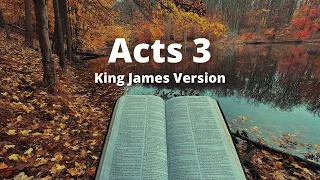 Acts 3 - King James Version (Audio Bible)