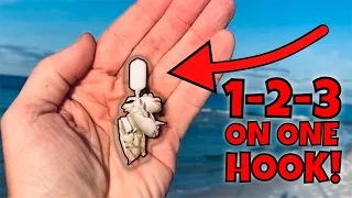 Watch TINY SAND FLEAS do the TRICK!