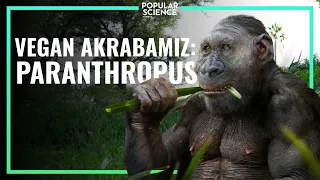 Vegan Akrabamız: PARANTHROPUS | Popular Science Türkiye