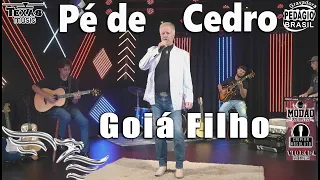 Pé de Cedro - GOIÁ FILHO (Repostagem Extraído do DVD - Pocket Show em Estúdio)